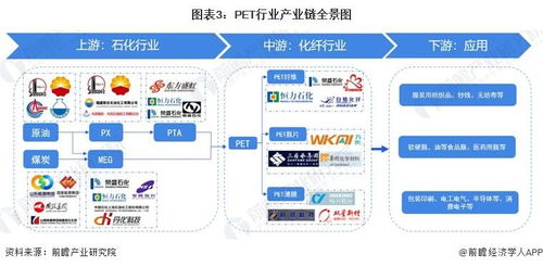 預見2023 中國PET行業全景圖譜——市場現狀、競爭格局與發展趨勢解析